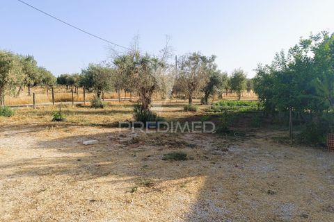 Farm hus i Estremoz, Evora, Estremoz - € 398.000 | Ref: 057416 - foto 33