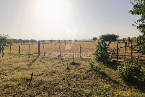 Farm hus i Estremoz, Evora, Estremoz - € 398.000 | Ref: 057416 - foto 35