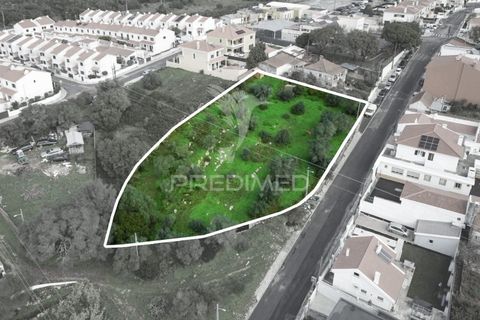 Helårsgrund i Sintra, Lisbon, Sintra - € 595.000 | Ref: 057483 - foto 3