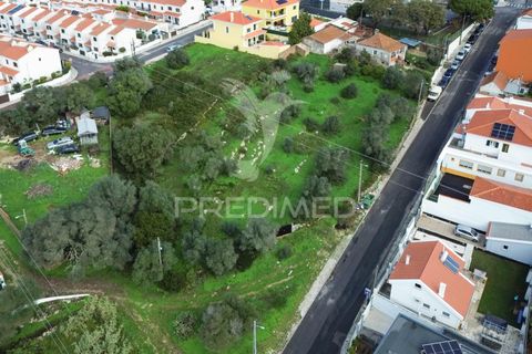 Helårsgrund i Sintra, Lisbon, Sintra - € 595.000 | Ref: 057483 - foto 4