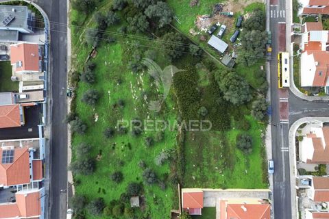 Helårsgrund i Sintra, Lisbon, Sintra - € 595.000 | Ref: 057483 - foto 5