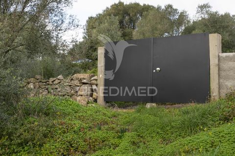Helårsgrund i Sintra, Lisbon, Sintra - € 595.000 | Ref: 057483 - foto 6