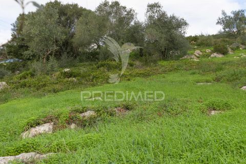 Helårsgrund i Sintra, Lisbon, Sintra - € 595.000 | Ref: 057483 - foto 8