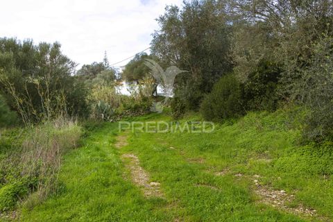 Helårsgrund i Sintra, Lisbon, Sintra - € 595.000 | Ref: 057483 - foto 9