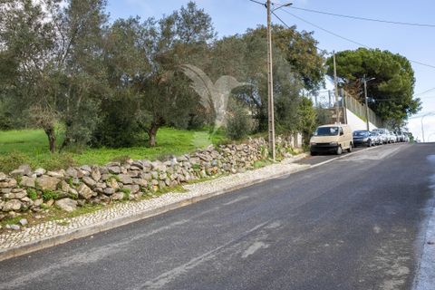 Helårsgrund i Sintra, Lisbon, Sintra - € 595.000 | Ref: 057483 - foto 10