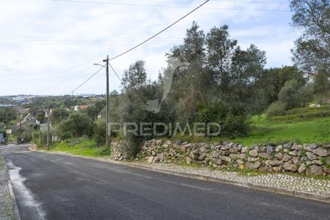 Helårsgrund i Sintra, Lisbon, Sintra - € 595.000 | Ref: 057483 - foto 11