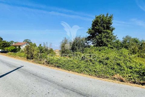 Helårsgrund i Tabua, Coimbra, Tabua - € 61.500 | Ref: 057524 - foto 5