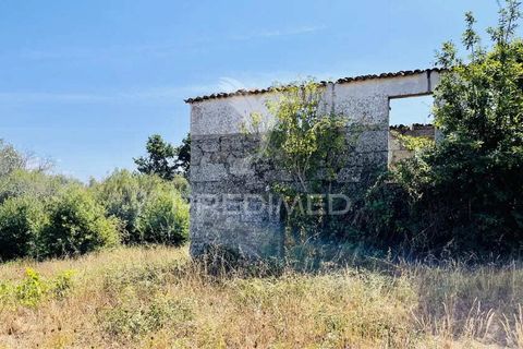 Helårsgrund i Tabua, Coimbra, Tabua - € 61.500 | Ref: 057524 - foto 9