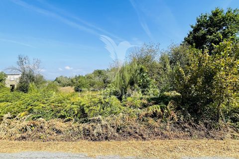 Helårsgrund i Tabua, Coimbra, Tabua - € 61.500 | Ref: 057524 - foto 13