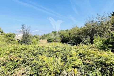 Helårsgrund i Tabua, Coimbra, Tabua - € 61.500 | Ref: 057524 - foto 14
