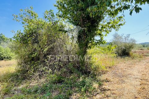Helårsgrund i Tabua, Coimbra, Tabua - € 61.500 | Ref: 057524 - foto 15
