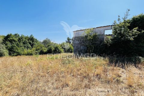 Helårsgrund i Tabua, Coimbra, Tabua - € 61.500 | Ref: 057524 - foto 16