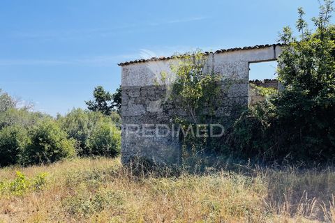 Helårsgrund i Tabua, Coimbra, Tabua - € 61.500 | Ref: 057524 - foto 17