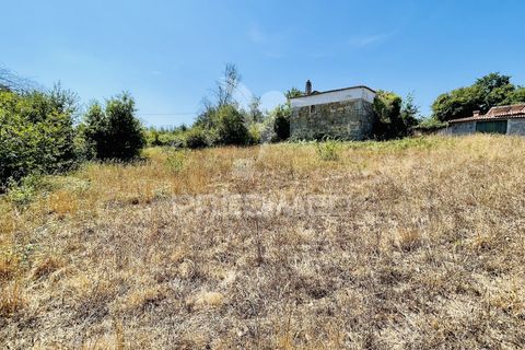 Helårsgrund i Tabua, Coimbra, Tabua - € 61.500 | Ref: 057524 - foto 19