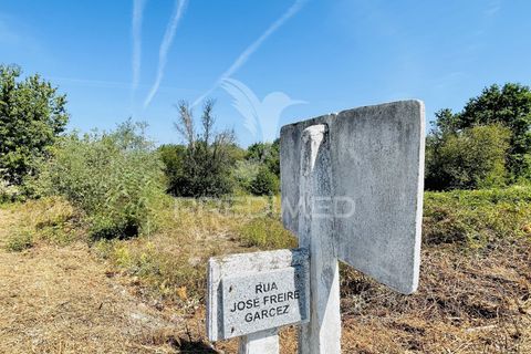 Helårsgrund i Tabua, Coimbra, Tabua - € 61.500 | Ref: 057524 - foto 21