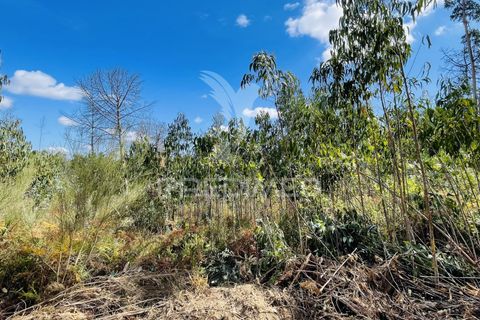 Helårsgrund i Tabua, Coimbra, Tabua - € 61.500 | Ref: 057524 - foto 22