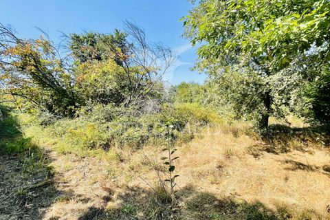 Helårsgrund i Tabua, Coimbra, Tabua - € 61.500 | Ref: 057524 - foto 23