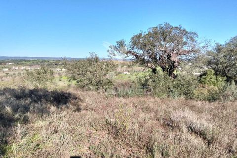 Terra a Alandroal, Evora, Alandroal - € 10.500 | Ref: 057530 - foto 2