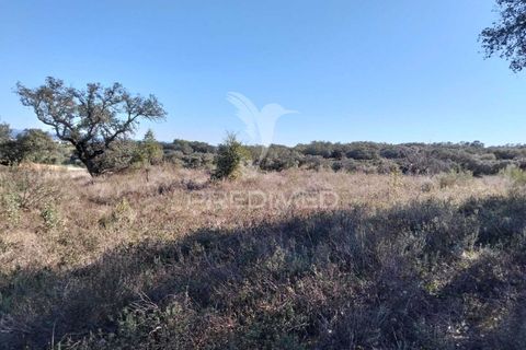 Terra a Alandroal, Evora, Alandroal - € 10.500 | Ref: 057530 - foto 3
