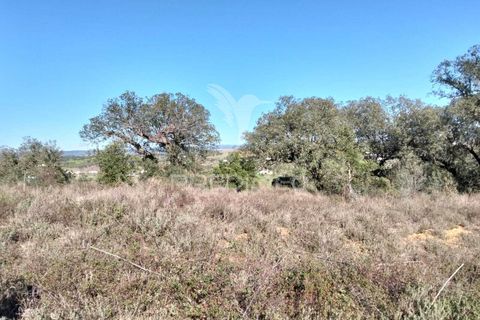 Terra a Alandroal, Evora, Alandroal - € 10.500 | Ref: 057530 - foto 4
