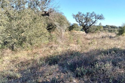 Terra a Alandroal, Evora, Alandroal - € 10.500 | Ref: 057530 - foto 5