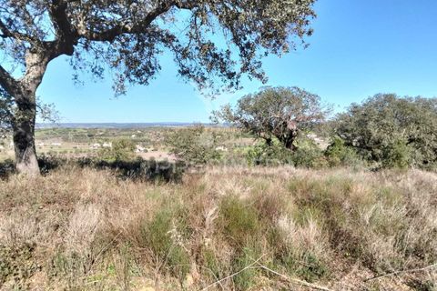 Terra a Alandroal, Evora, Alandroal - € 10.500 | Ref: 057530 - foto 6