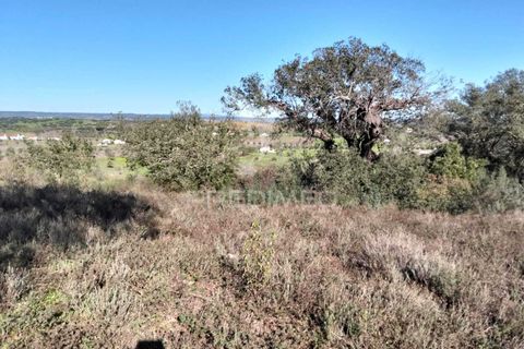 Terra a Alandroal, Evora, Alandroal - € 10.500 | Ref: 057530 - foto 7