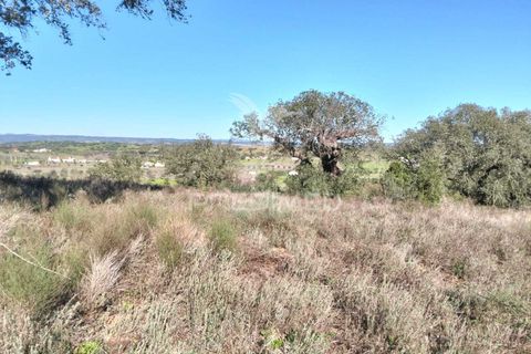 Terra a Alandroal, Evora, Alandroal - € 10.500 | Ref: 057530 - foto 8