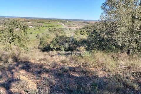 Terra a Alandroal, Evora, Alandroal - € 10.500 | Ref: 057530 - foto 9