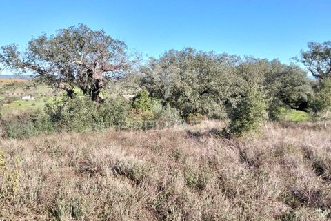 Terra a Alandroal, Evora, Alandroal - € 10.500 | Ref: 057530 - foto 10