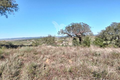 Terra a Alandroal, Evora, Alandroal - € 10.500 | Ref: 057530 - foto 11