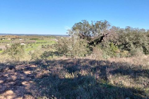 Terra a Alandroal, Evora, Alandroal - € 10.500 | Ref: 057530 - foto 12