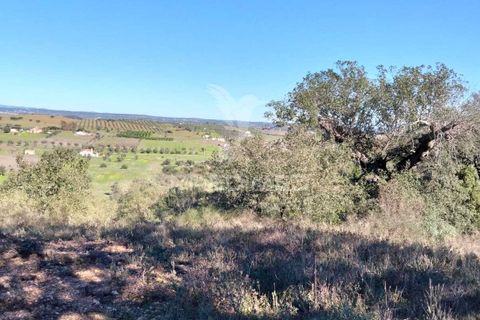Terra a Alandroal, Evora, Alandroal - € 10.500 | Ref: 057530 - foto 13