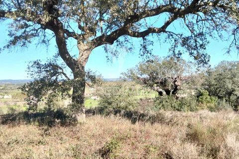 Terra a Alandroal, Evora, Alandroal - € 10.500 | Ref: 057530 - foto 14