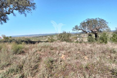 Terra a Alandroal, Evora, Alandroal - € 10.500 | Ref: 057530 - foto 15