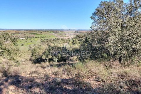 Terra a Alandroal, Evora, Alandroal - € 10.500 | Ref: 057530 - foto 16