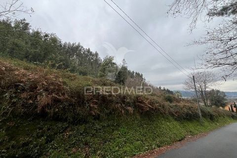 Helårsgrund i Vila Verde, Braga, Vila Verde - € 75.000 | Ref: 057628 - foto 5