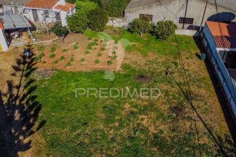 Helårsgrund i Lagoa, Faro, Lagoa - € 350.000 | Ref: 057830 - foto 5