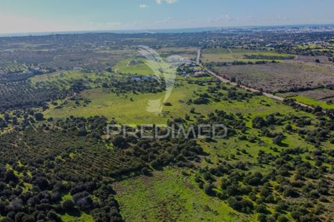 Helårsgrund i Lagoa, Faro, Lagoa - € 350.000 | Ref: 057830 - foto 8