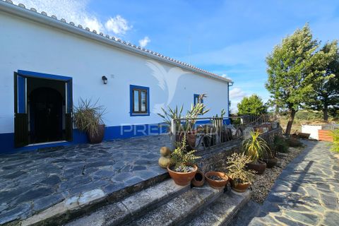 Farm hus i Castro Verde, Beja, Castro Verde - € 1.400.000 | Ref: 058047 - foto 3