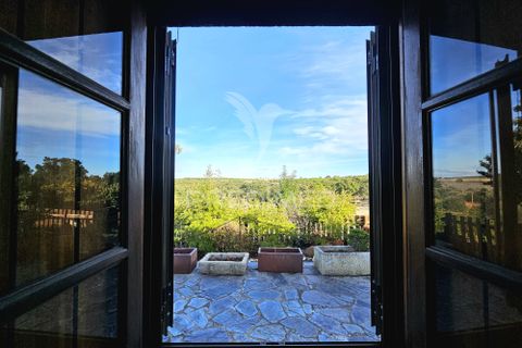 Farm hus i Castro Verde, Beja, Castro Verde - € 1.400.000 | Ref: 058047 - foto 21