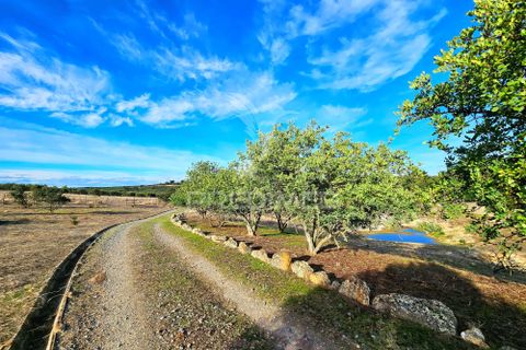 Farm hus i Castro Verde, Beja, Castro Verde - € 1.400.000 | Ref: 058047 - foto 32