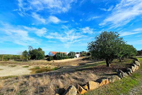 Farm hus i Castro Verde, Beja, Castro Verde - € 1.400.000 | Ref: 058047 - foto 33