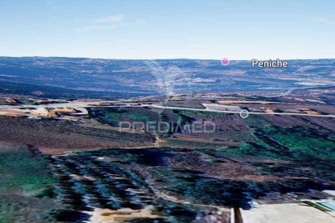 Helårsgrund i Alcobaca, Leiria, Alcobaca - € 71.500 | Ref: 058209 - foto 17