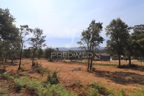 Helårsgrund i Vila Verde, Braga, Vila Verde - € 97.500 | Ref: 058377 - foto 4