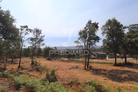 Helårsgrund i Vila Verde, Braga, Vila Verde - € 97.500 | Ref: 058377 - foto 7