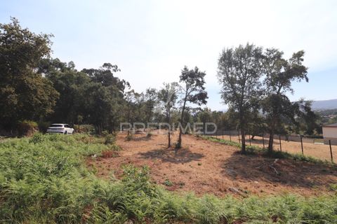 Helårsgrund i Vila Verde, Braga, Vila Verde - € 97.500 | Ref: 058377 - foto 8
