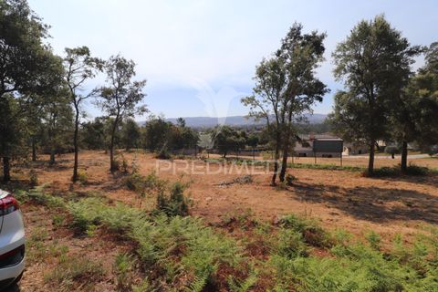 Helårsgrund i Vila Verde, Braga, Vila Verde - € 97.500 | Ref: 058377 - foto 12