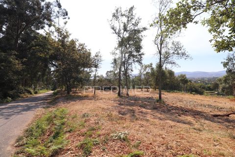 Helårsgrund i Vila Verde, Braga, Vila Verde - € 97.500 | Ref: 058377 - foto 13