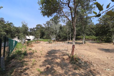 Helårsgrund i Vila Verde, Braga, Vila Verde - € 97.500 | Ref: 058377 - foto 16